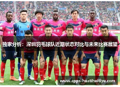 独家分析：深圳羽毛球队近期状态对比与未来比赛展望